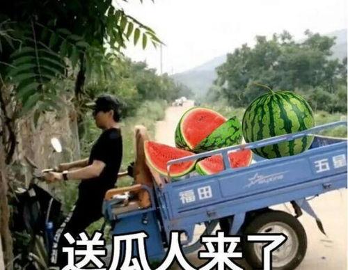 最近大瓜事件,揭秘明星隐私风波背后的真相-第1张图片-亚洲AV中文无码乱人伦