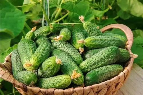 最近大瓜事件,揭秘明星隐私风波背后的真相-第2张图片-亚洲AV中文无码乱人伦