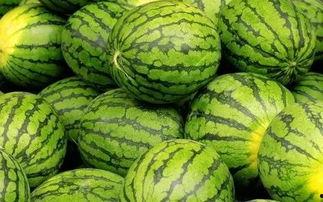 吃瓜网官网免费观看 吃瓜网官网,免费观看，畅享娱乐盛宴-第2张图片-亚洲AV中文无码乱人伦