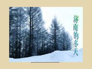 成人雪景拍摄教程视频下载,跟随教程视频捕捉冬日美景-第3张图片-亚洲AV中文无码乱人伦