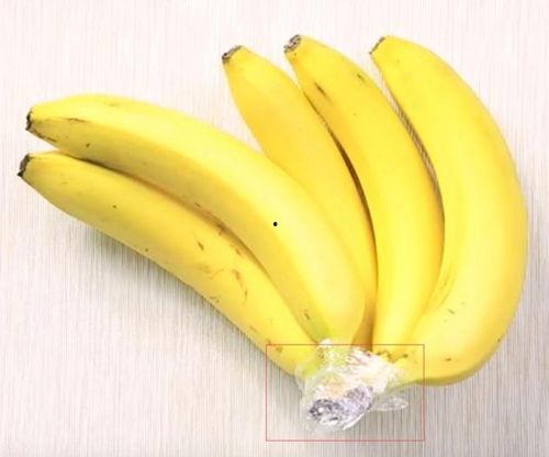 成人香蕉18视频教程,轻松掌握香蕉种植与养护技巧-第1张图片-亚洲AV中文无码乱人伦