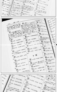 软笔练字成人教程视频,跟随软笔练字教程视频，轻松掌握书法艺术-第3张图片-亚洲AV中文无码乱人伦