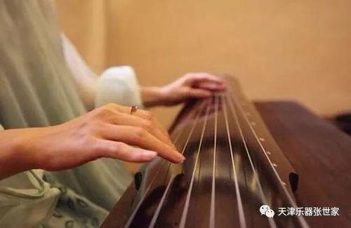 乐器成人易学视频,乐器成人易学视频教程精选-第2张图片-亚洲AV中文无码乱人伦