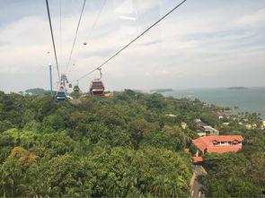 成人滑出缆车图片视频,成人滑出缆车，高空惊魂一幕再现-第3张图片-亚洲AV中文无码乱人伦