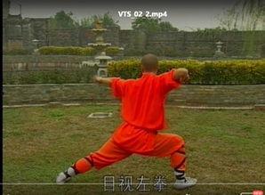 武术成人搏击视频教学大全-第1张图片-亚洲AV中文无码乱人伦 武术成人搏击视频教学大全-第1张图片-亚洲AV中文无码乱人伦