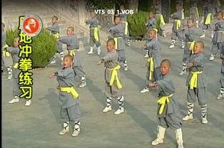 武术成人搏击视频教学大全-第3张图片-亚洲AV中文无码乱人伦 武术成人搏击视频教学大全-第3张图片-亚洲AV中文无码乱人伦