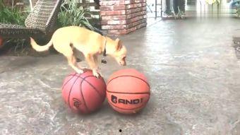 成人过人视频网站,内容丰富，尺度适中，揭秘行业现状-第3张图片-亚洲AV中文无码乱人伦