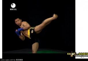 成人自由搏击视频大全,成人自由搏击视频大全精彩集锦-第3张图片-亚洲AV中文无码乱人伦