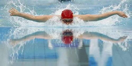 东营成人蝶泳比赛视频-第2张图片-亚洲AV中文无码乱人伦