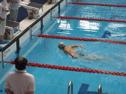 东营成人蝶泳比赛视频-第3张图片-亚洲AV中文无码乱人伦