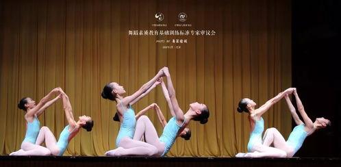 新手成人中国舞视频欣赏-第1张图片-亚洲AV中文无码乱人伦