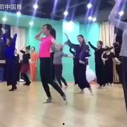 成人训练舞蹈视频大全,成人舞蹈视频大全精选解析-第3张图片-亚洲AV中文无码乱人伦