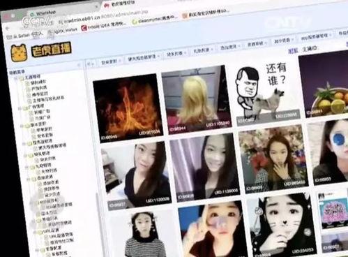 456成人直播视频,一场视觉与心理的双重盛宴-第1张图片-亚洲AV中文无码乱人伦 456成人直播视频,一场视觉与心理的双重盛宴-第1张图片-亚洲AV中文无码乱人伦